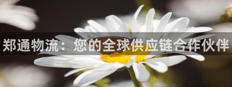 28圈注册教程：郑通物流：您的全球供