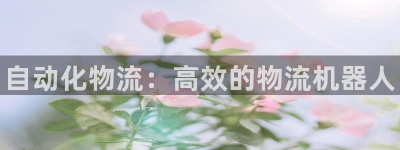 28圈注册网站：自动化物流：高效的物